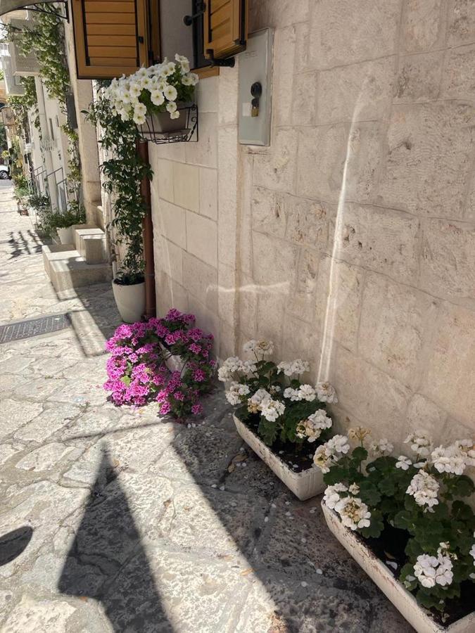 Casetta Nobile Ostuni Εξωτερικό φωτογραφία